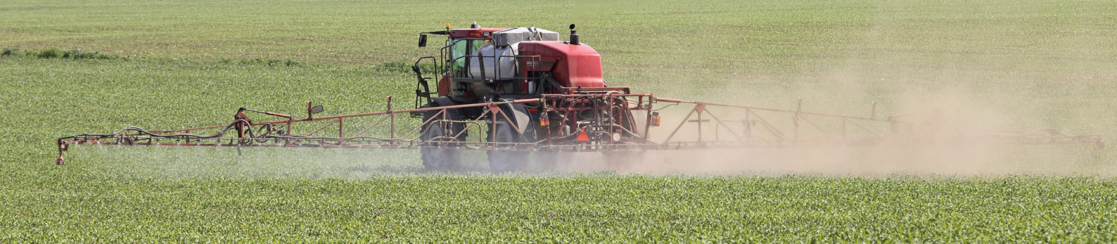 Spraying herbicide onto a farm field of corn